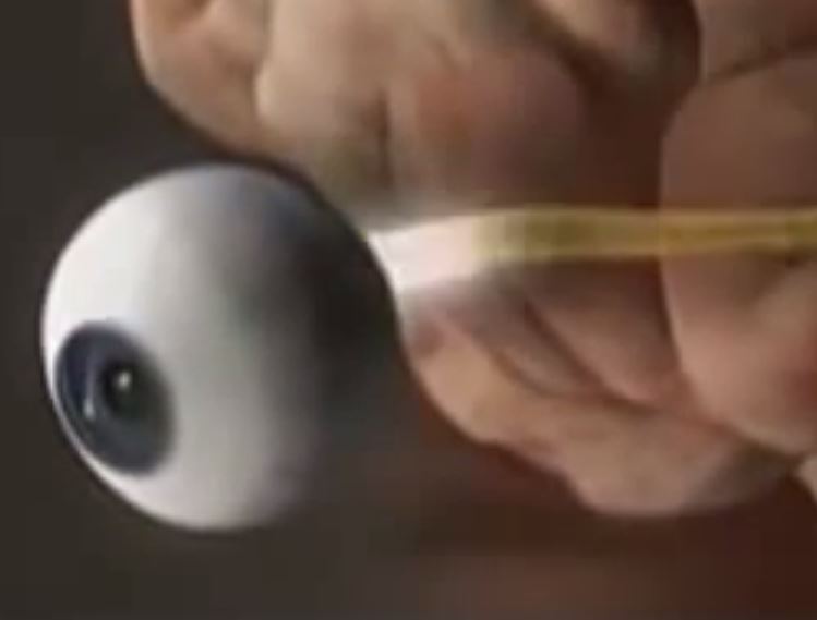 მხედველობის ნერვი